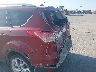 1FMCU9J90EU****** Salvage and Repairable 2014 Ford Escape in Iowa State