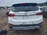 5NMS3CAD7LH****** Destrozados 2020 Hyundai Santa Fe
