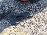 SHHFK7H46KU****** Wrecked 2019 Honda Civic in South Carolina State