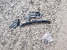 KL7CJLSB4KB****** Wrecked 2019 Chevrolet Trax in Ohio State