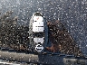 1N4AL3AP4DC****** Salvage 2013 Nissan Altima in Pennsylvania State