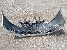 3N1AB7AP0HY****** Destrozados 2017 Nissan Sentra en Estado de Tennessee