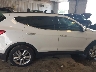5XYZWDLA5GG****** Used 2016 Hyundai Santa Fe in Michigan State