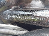 1HD1JBB126Y****** Repairable 2006 Harley-Davidson Softail Deuce in Rec Rides Online Exclusive