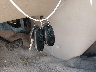 5TDZA23C05S****** Salvage 2005 Toyota Sienna in Maryland State