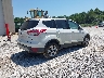 1FMCU0GX8EU****** Salvamento y Destrozados 2014 Ford Escape en Estado de Alabama