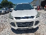1FMCU0GX8EU****** Salvamento y Reparables 2014 Ford Escape en Estado de Alabama