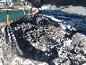 1FTEW1EG9GF****** Reparables 2016 Ford F-150 en Pulaski