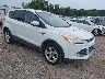 1FMCU0GX8DU****** Salvage and Wrecked 2013 Ford Escape in Shreveport