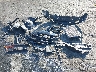 19XFC2F81KE****** Wrecked 2019 Honda Civic in North Carolina State