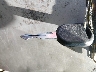 1FAFP44453F****** Salvage 2003 Ford Mustang in Nevada State