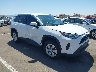 2T3K1RFVXSW****** Salvage and Repairable 2025 Toyota RAV4 in Arizona State