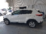 KNDPM3AC7K7****** Salvage 2019 Kia Sportage