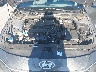 KMHLL4DG7SU****** Repairable 2025 Hyundai Elantra in Nashville
