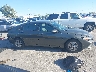 KMHLL4DG7SU****** Repairable 2025 Hyundai Elantra in Tennessee State