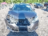 3N1AB7APXKY****** Wrecked 2019 Nissan Sentra in Florida State