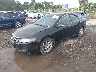 JH4CL95965C****** Usados y Reparables 2005 Acura TSX en Orlando