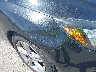 1FADP3F24DL****** Wrecked 2013 Ford Focus in Nevada State