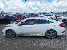 19XFC2F51GE****** Salvage 2016 Honda Civic