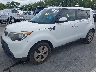 KNDJN2A22E7****** Usados y Reparables 2014 Kia Soul en Nashville