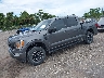 1FTEW1EP7NF****** Usados y Reparables 2022 Ford F-150 en Tampa North