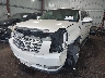 1GYFK66867R****** Used and Repairable 2007 Cadillac Escalade ESV in Tidewater