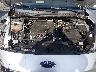1FMCU0G63LU****** Repairable 2020 Ford Escape in Nashville