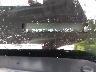 2HGFC2F66MH****** Reparables 2021 Honda Civic