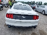 1FA6P8TH3J5****** Usados 2018 Ford Mustang