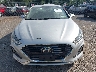 5NPE24AF9KH****** Wrecked 2019 Hyundai Sonata in New York State