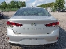 5NPE24AF9KH****** Wrecked 2019 Hyundai Sonata