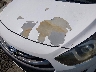 KMHD35LE6DU****** Salvamento y Reparables 2013 Hyundai Elantra en Estado de Georgia