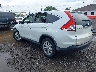 5J6RM4H54CL****** Salvamento y Reparables 2012 Honda CR-V en Buffalo