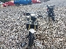 SMTD01NE88J****** Used and Repairable 2008 Triumph Street Triple in Pennsylvania State