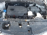 5NMZUDLB6HH****** Reparables 2017 Hyundai Santa Fe en Long Island