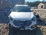 5NMZUDLB6HH****** Destrozados 2017 Hyundai Santa Fe en Estado de Nueva York