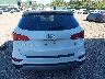 5NMZUDLB6HH****** Destrozados 2017 Hyundai Santa Fe