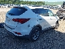 5NMZUDLB6HH****** Salvamento y Destrozados 2017 Hyundai Santa Fe en Estado de Nueva York