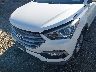 5NMZUDLB6HH****** Salvamento y Reparables 2017 Hyundai Santa Fe en Estado de Nueva York