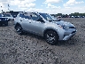 JTMBFREV0JJ****** Salvamento y Destrozados 2018 Toyota RAV4 en Philadelphia