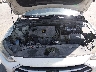 5NPD84LF7HH****** Repairable 2017 Hyundai Elantra in Austin North