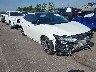 1N4AA6DV2LC****** Salvamento y Destrozados 2020 Nissan Maxima en Memphis