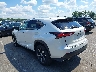 JTJGARDZ5L5****** Salvamento y Reparables 2020 Lexus NX 300 en Englishtown