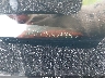 WBAVB13546K****** Wrecked 2006 BMW 325i in New York State
