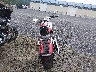 JYAVP33E2EA****** Salvage and Repairable 2014 Yamaha Star Stryker in Pennsylvania State