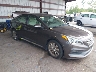 5NPE34AF4GH****** Salvamento y Destrozados 2016 Hyundai Sonata en Jacksonville