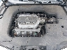19UUA8F58AA****** Reparables 2010 Acura TL en Raleigh