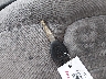 1HGCG667XYA****** Salvage 2000 Honda Accord in Pennsylvania State