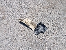 2HGFA16527H****** Wrecked 2007 Honda Civic in California State