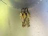 RGMWD13***** Salvage 2000 Regal Other in California State